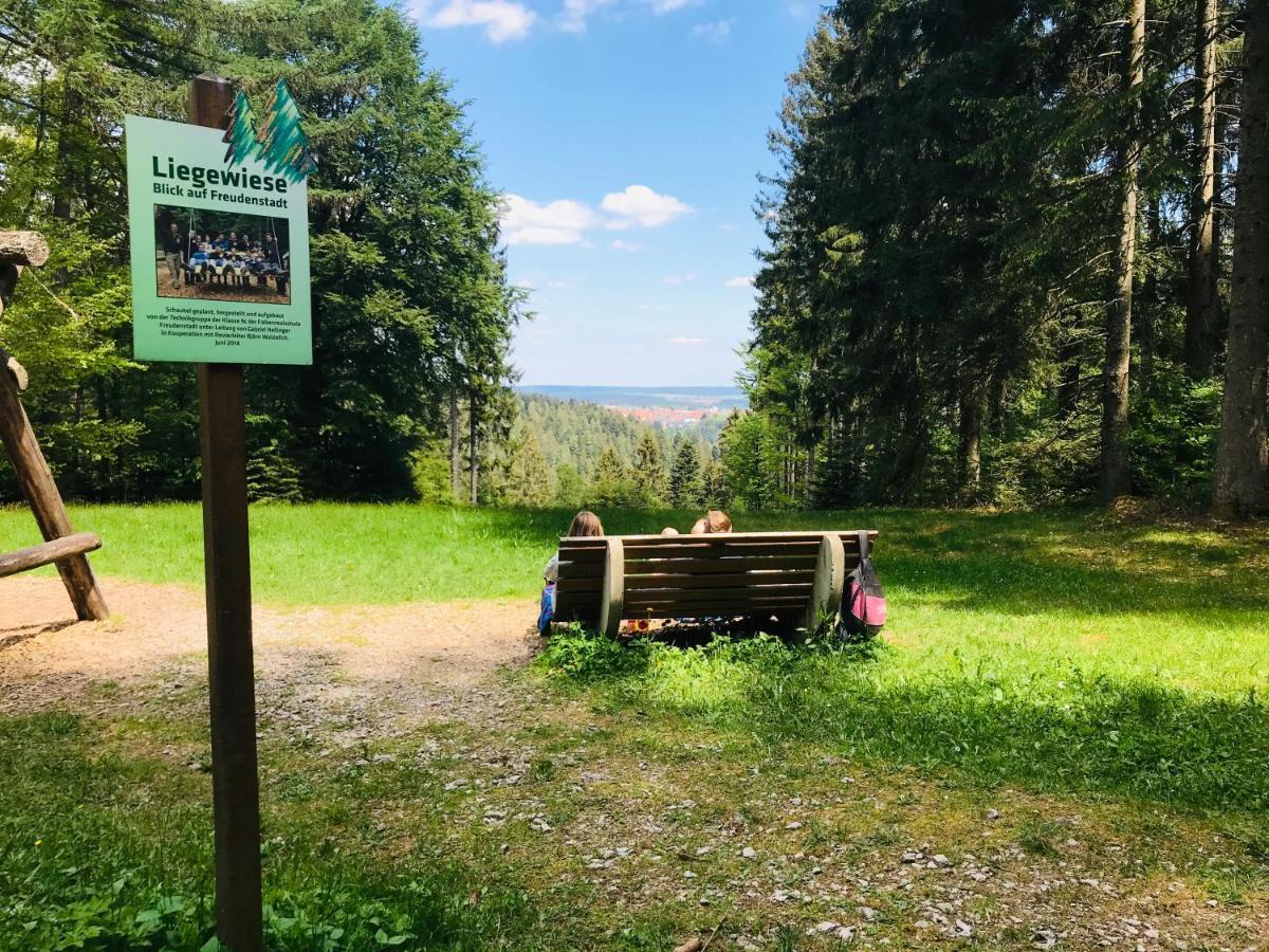 Haus Jenni Im Schwarzwald, 3,5-Zimmer, Grosse Terrasse Freudenstadt Eksteriør billede