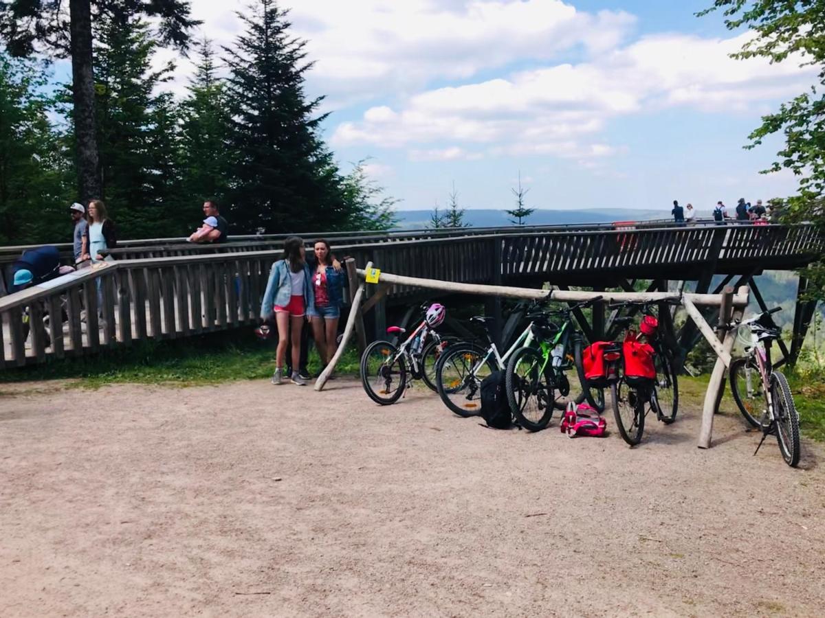 Haus Jenni Im Schwarzwald, 3,5-Zimmer, Grosse Terrasse Freudenstadt Eksteriør billede